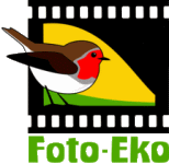 FOTO-EKO