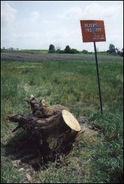 Nikomu, kto zainteresowany jest ochroną przyrody, nie zależy na uzyskaniu takiego efektu