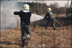 Interwencja strażaków