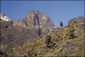 U podnóża Mt. Kenya