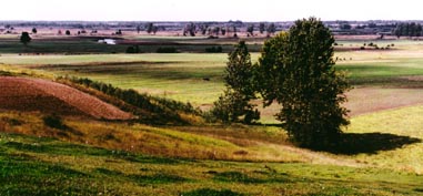 Widok na dolinę Noteci z krawędzi moreny