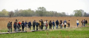 Czasem nie obejdzie się bez odrobiny survivalu - przejście długą, wąską kładką przez bagna