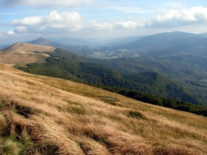 Bieszczady – największa z ostoi niedźwiedzia w Polsce