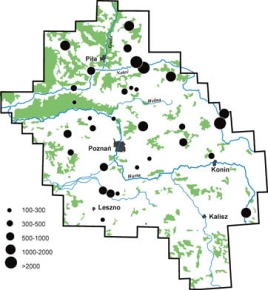 Rozmieszczenie zbiorowych noclegowisk żurawi w Wielkopolsce w latach 2009–2010