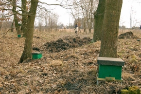 Schronienia dla trzmieli rozstawione przez PTOP Salamandra w Małych Rudach