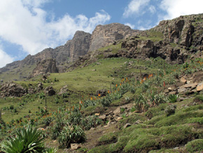 Park Narodowy Gór Simien