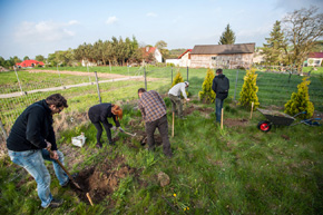 By kwiatom rosło się lepiej, trzeba najpierw przygotować podłoże