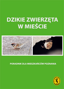 Publikacja - okładka