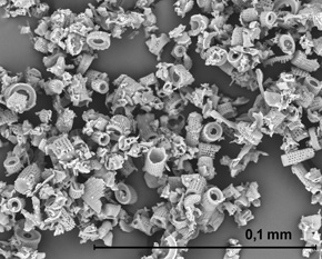 Ziemia okrzemkowa (diatomit) jest wykorzystywana w wielu gałęziach przemysłu. Zdjęcie wykonane przez skaningowy mikroskop elektronowy ukazuje, że składa się ona głównie ze skamieniałych pancerzyków glonów – okrzemek