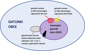 Różne kategorie gatunków obcych w faunie i florze Polski – wielkości zbiorów mają charakter poglądowy i nie odzwierciedlają dokładnie proporcji między zawartymi w nich liczbami gatunków